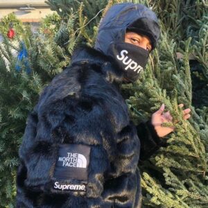 Supreme x 더 노스 페이스 20fw 폭스퍼 Nuptse 패딩