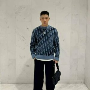 디올 오블리크 패턴 울니트