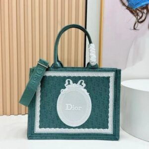 디올 신형 북토트백 스몰